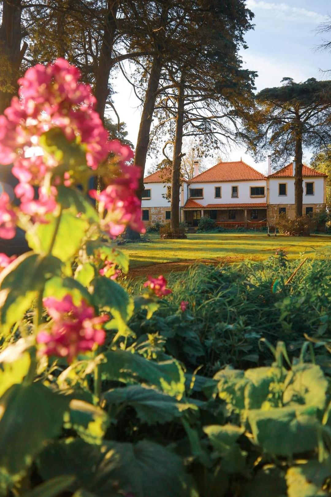 Lugar Da Pedra Alta - B&B - Private Historical Villa Melo Luaran gambar